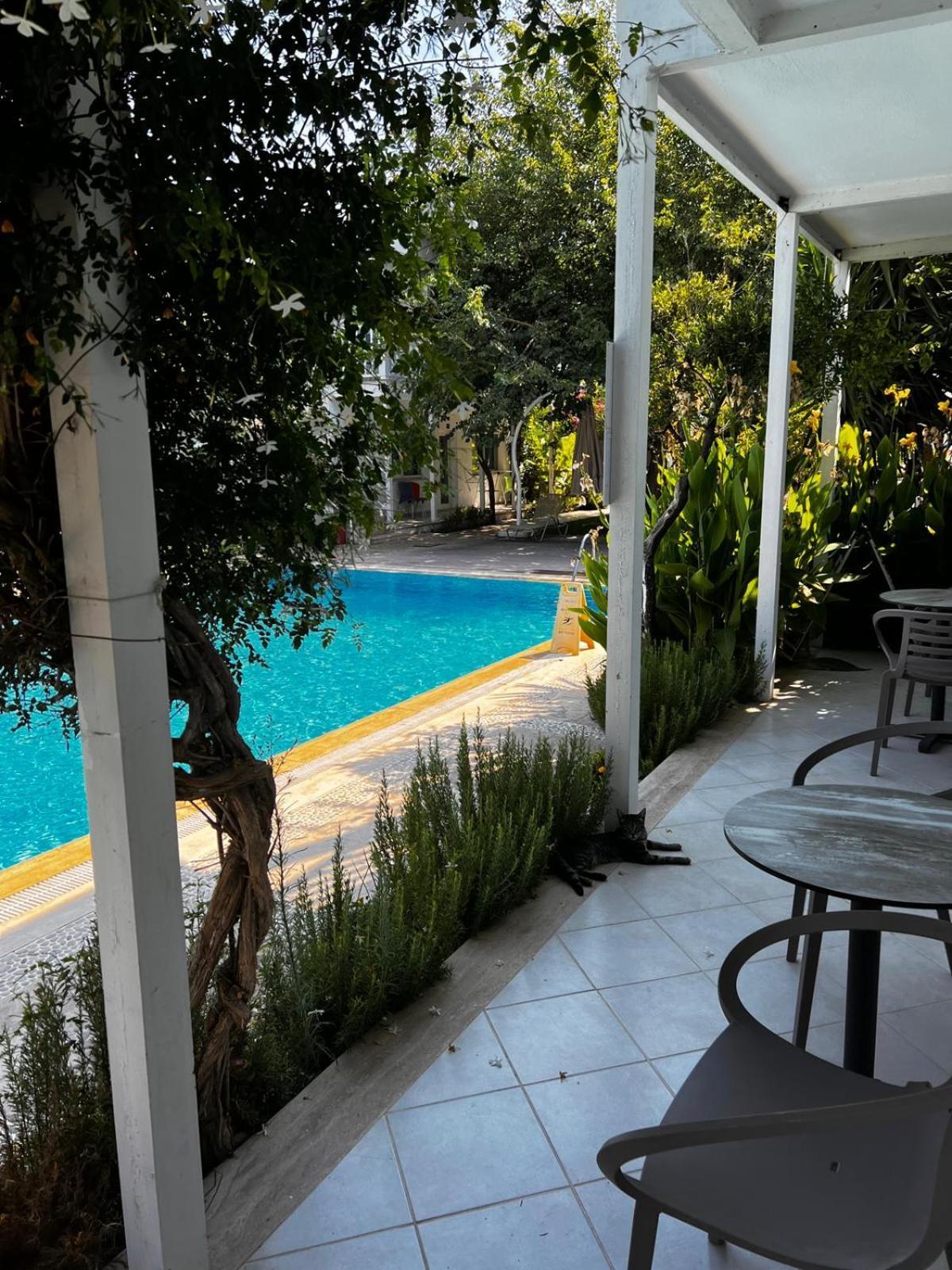 Hotel Gümüşlük Quarto foto